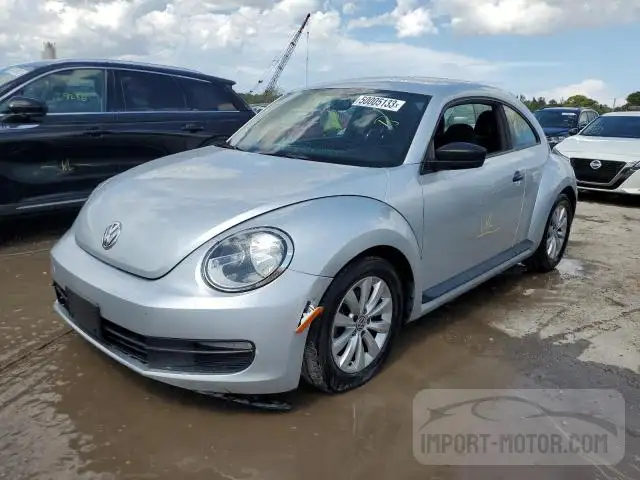 Volkswagen Beetle (2014)