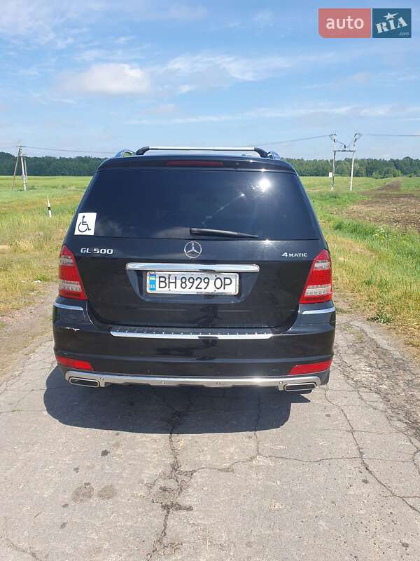 Mercedes-benz Gl-class (2010)