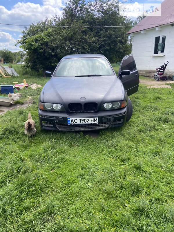Bmw 535i (1996)