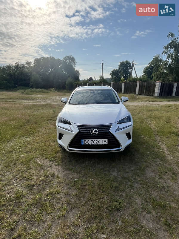 Lexus Nx (2019)