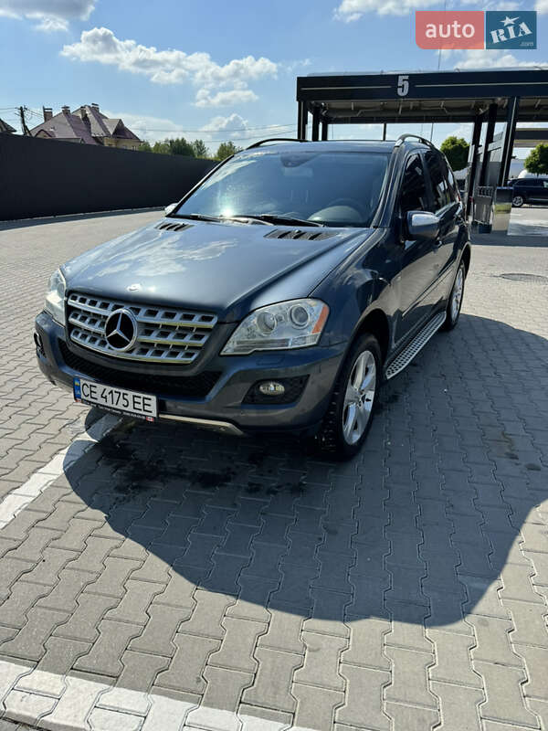 Mercedes-benz M-class (2010)
