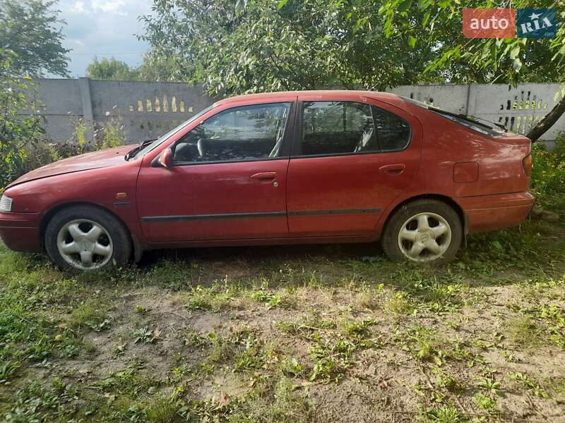 Nissan Primera (1997)