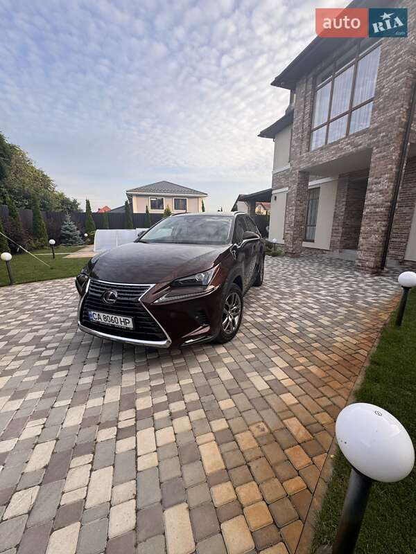 Lexus Nx (2019)