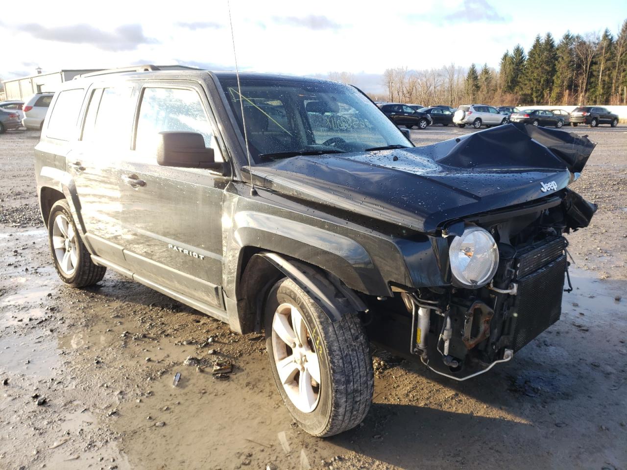 Jeep Patriot sp (2011)