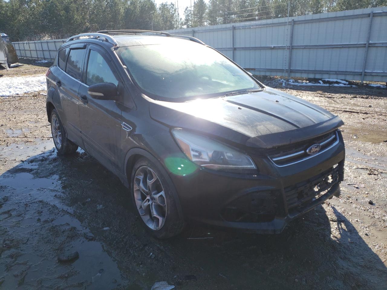 Ford Escape tit (2013)