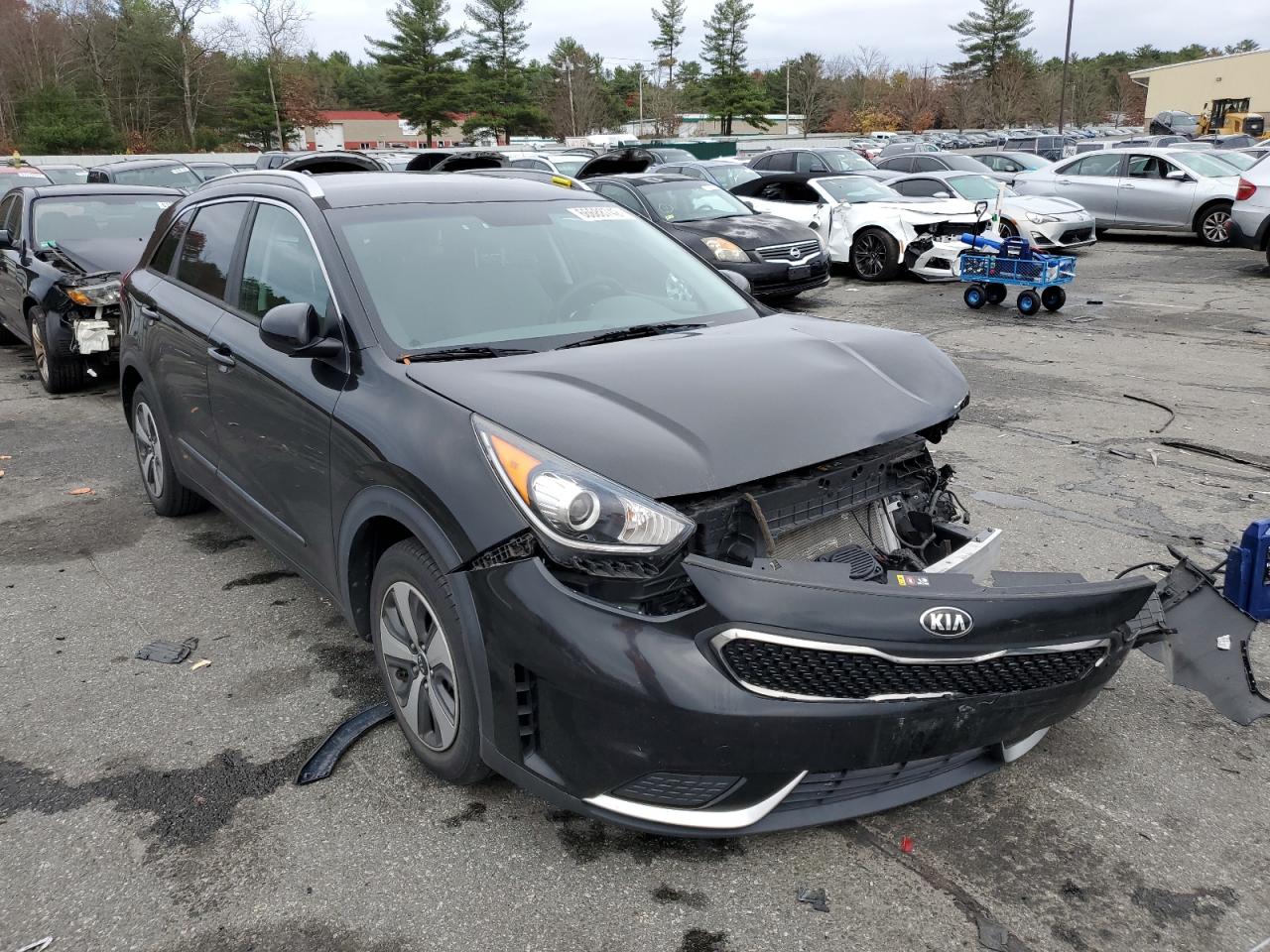 Kia Niro fe (2017)