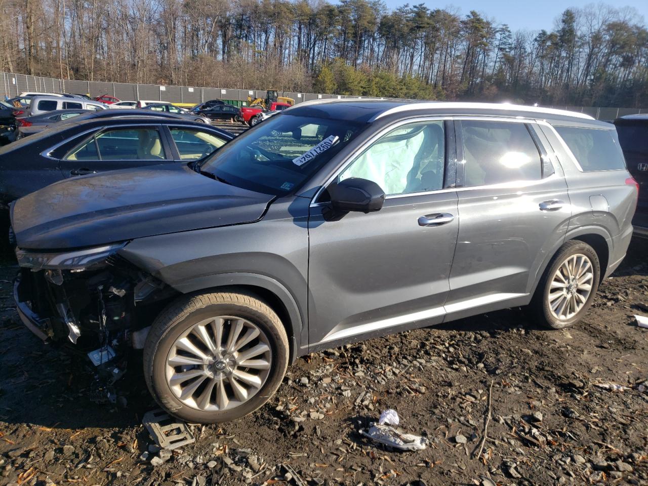 Hyundai Palisade l (2020)