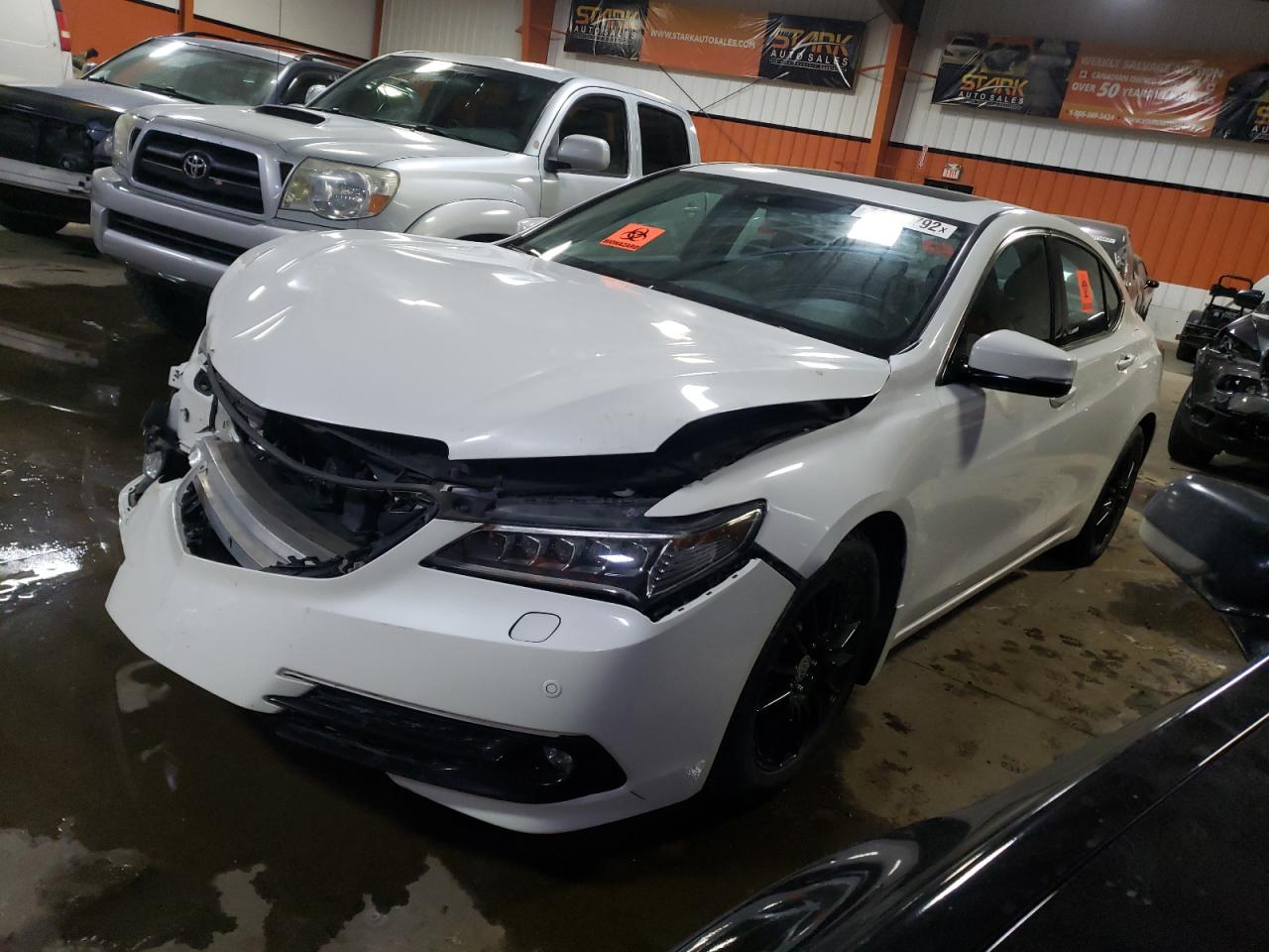 Acura Tlx advanc (2015)