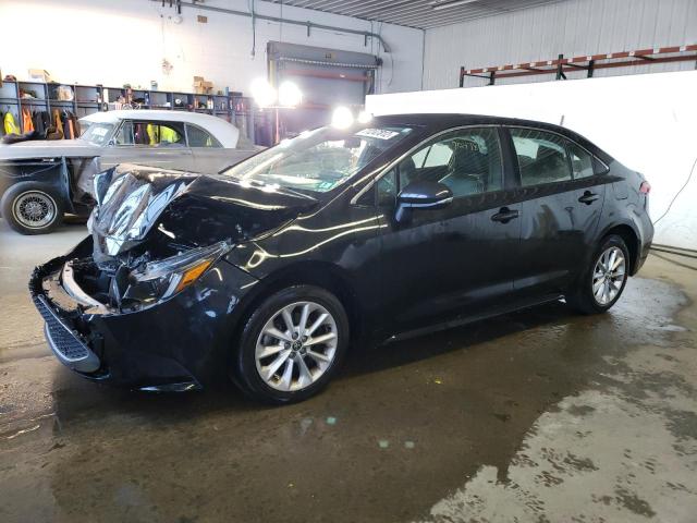 Toyota Corolla xl (2020)