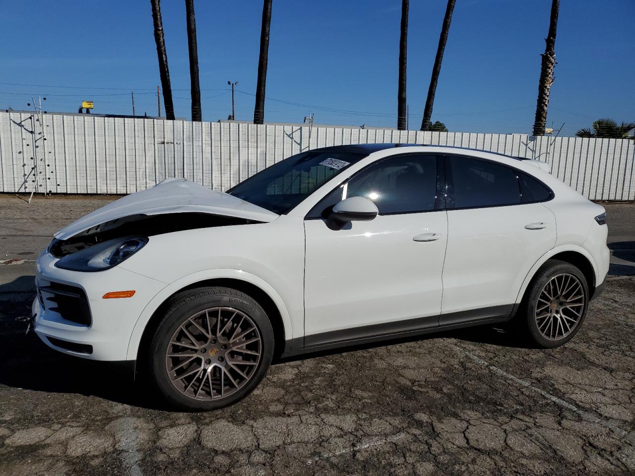 Porsche Cayenne co (2021)