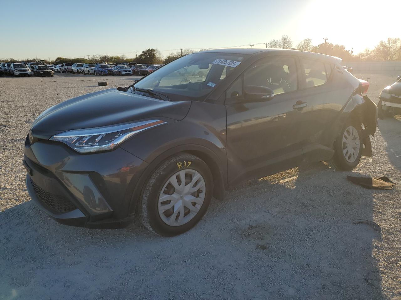 Toyota C-hr xle (2020)
