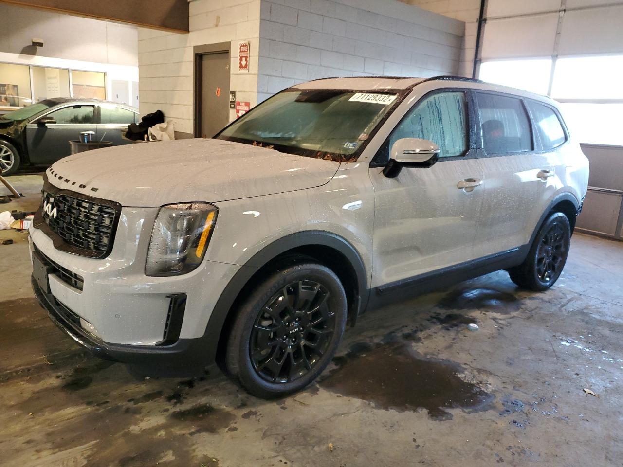Kia Telluride (2022)