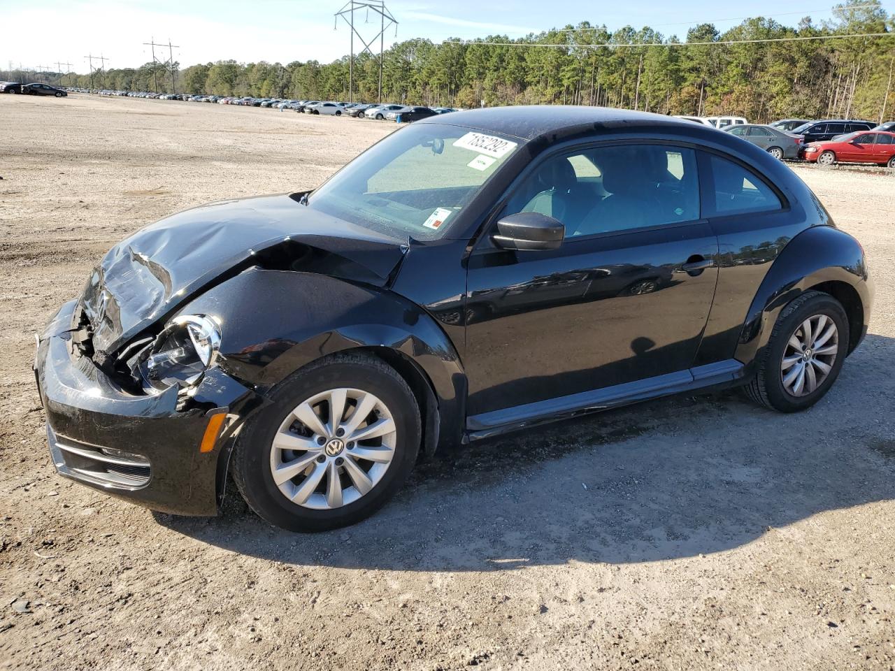 Volkswagen Beetle (2014)