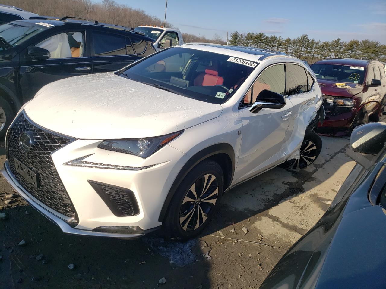 Lexus Nx 300 f-s (2020)