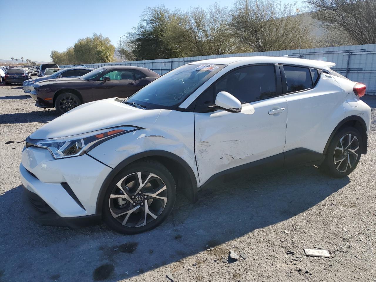 Toyota C-hr xle (2018)