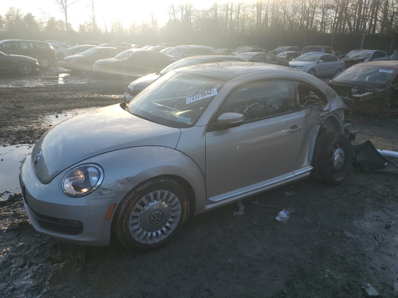 Volkswagen Beetle 1.8 (2015)