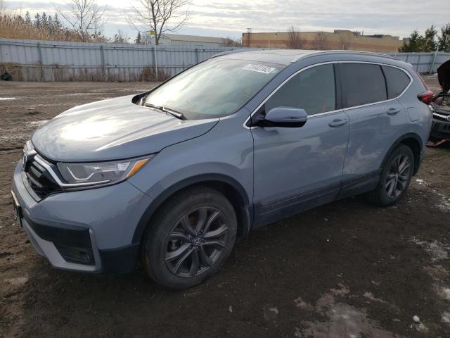 Honda Cr-v sport (2022)