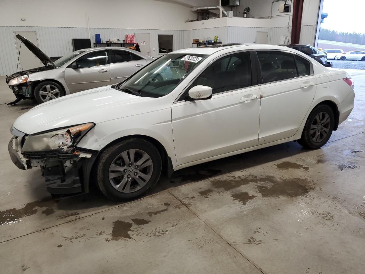 Honda Accord se (2011)