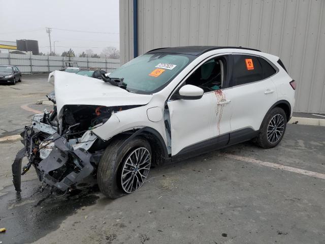 Ford Escape tit (2022)