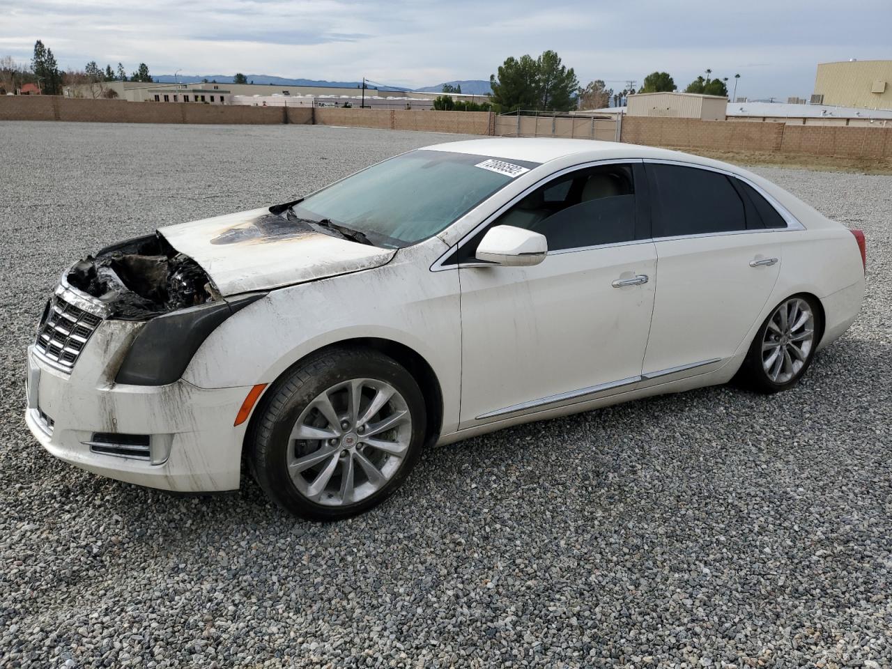 Cadillac Xts luxury (2013)