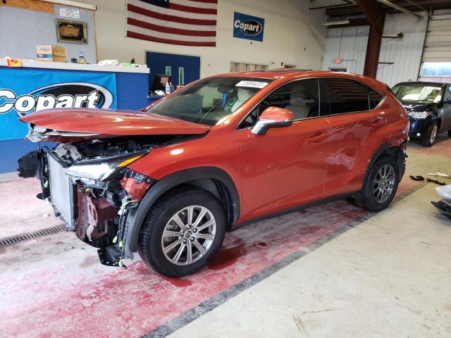 Lexus Nx 300 (2020)