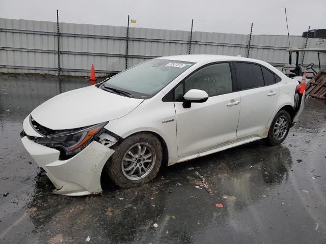 Toyota Corolla le (2020)