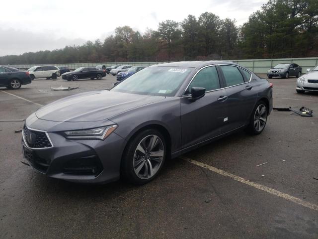Acura Tlx advanc (2022)