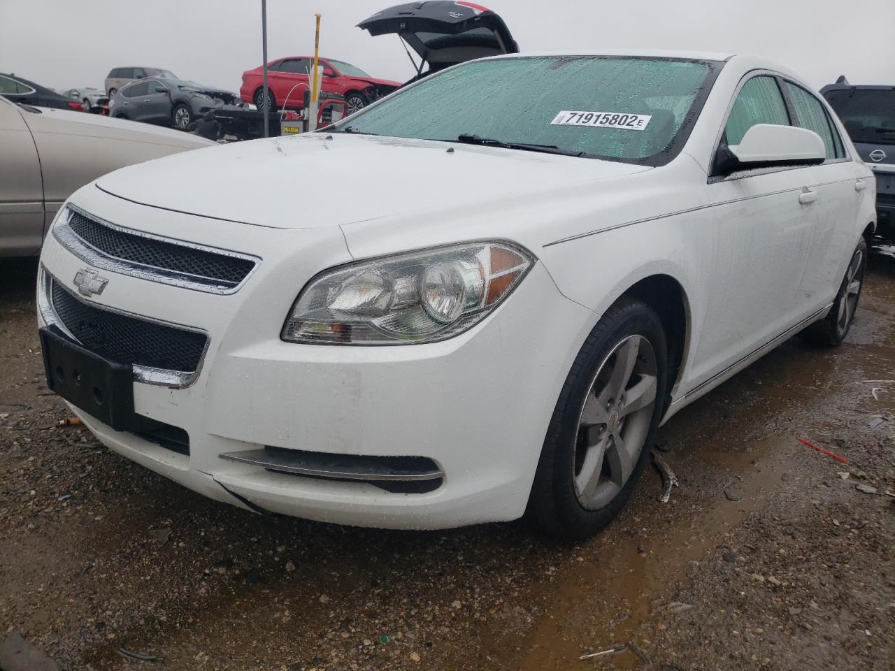 Chevrolet Malibu 1lt (2011)