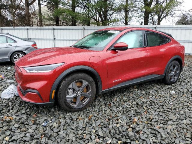 Ford Mustang ma (2021)