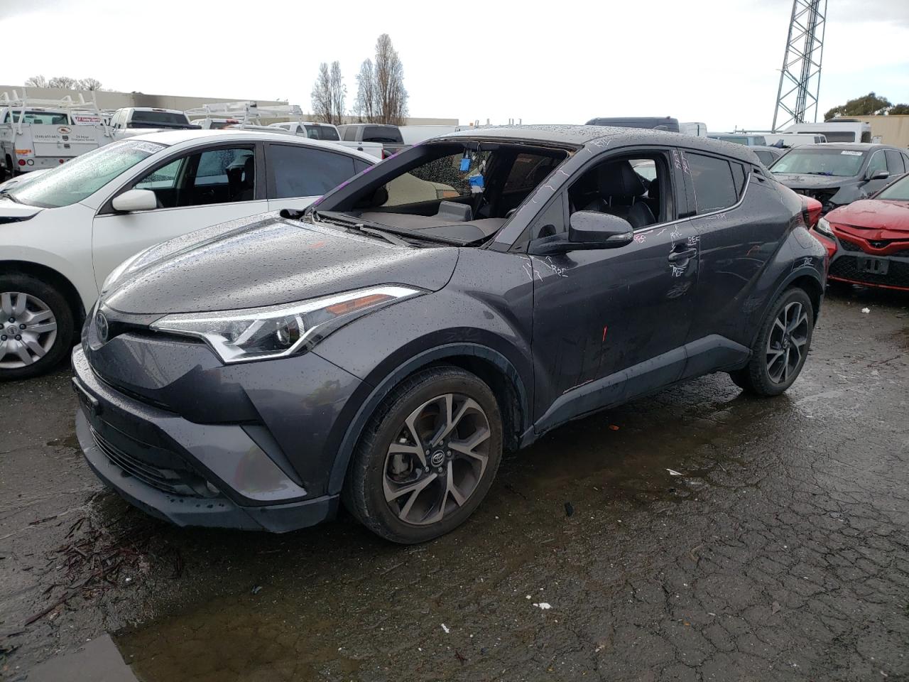Toyota C-hr xle (2019)