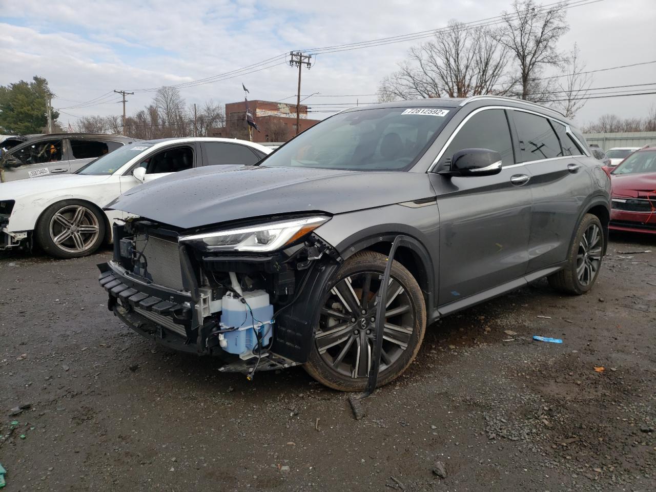 Infiniti Qx50 luxe (2021)