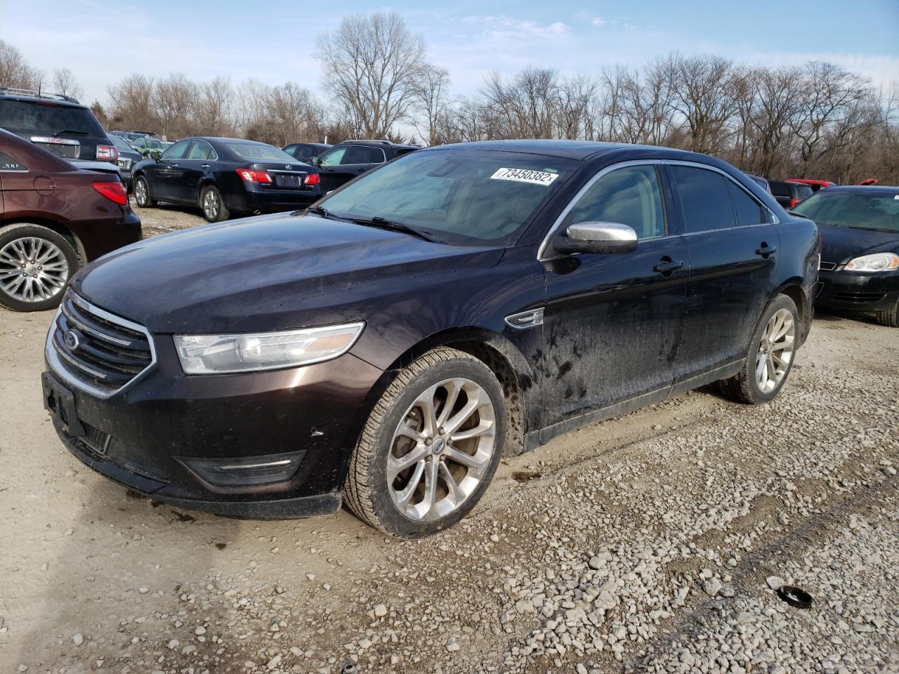 Ford Taurus lim (2013)