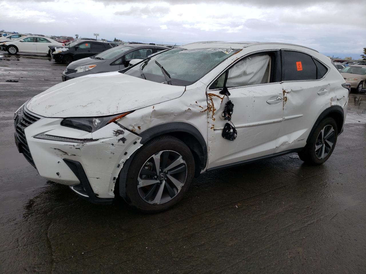 Lexus Nx 300h ba (2021)