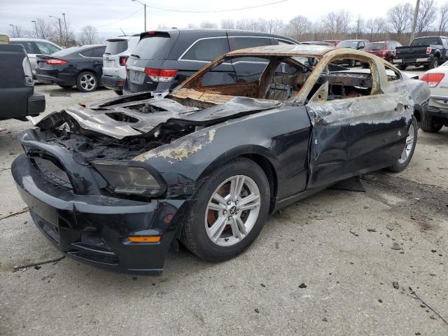 Ford All models (2014)