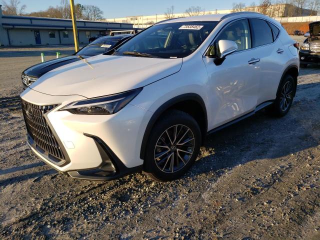 Lexus Nx 250 (2022)