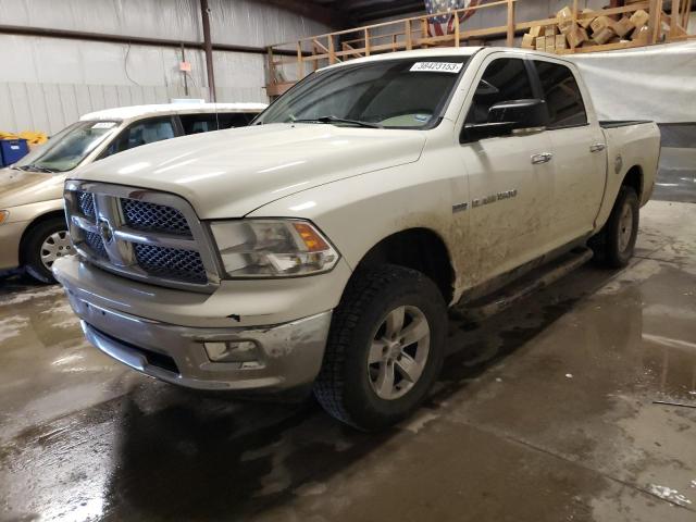 Dodge All models (2009)