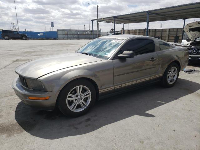 Ford All models (2005)