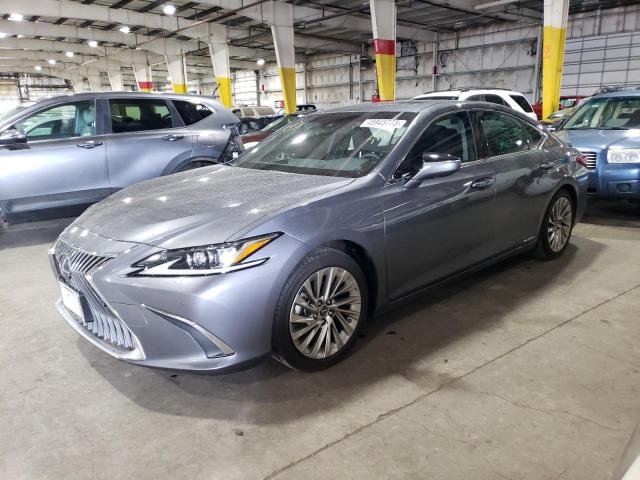 Lexus Es300 (2019)