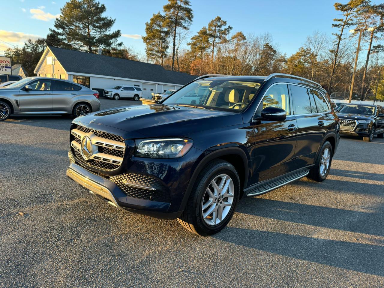 Mercedes-benz Gls-klasse (2020)