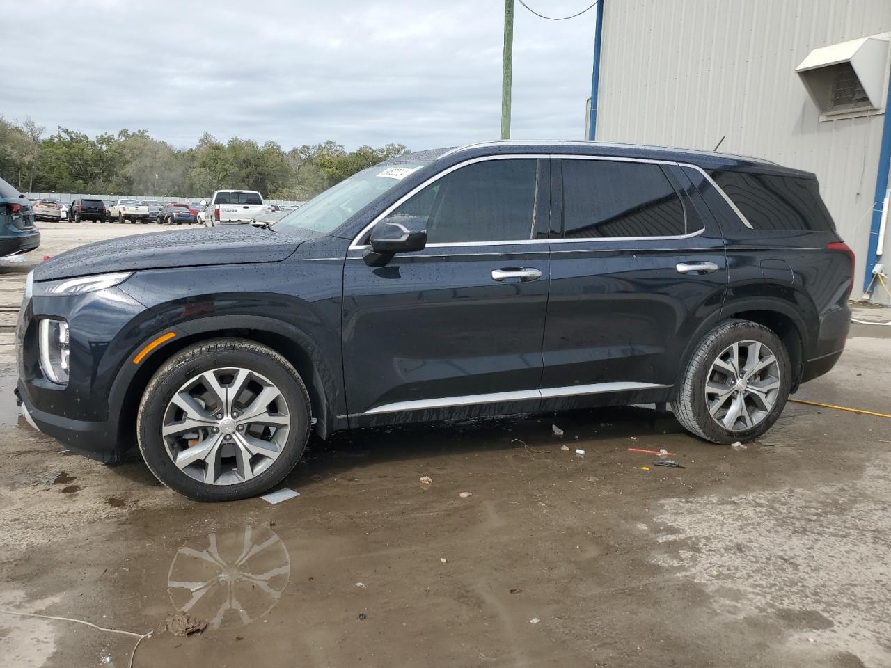 Hyundai Palisade (2020)