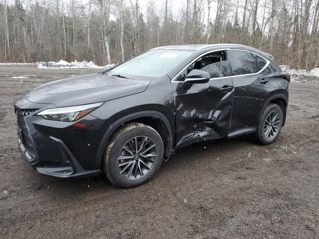 Lexus Nx 250 (2023)