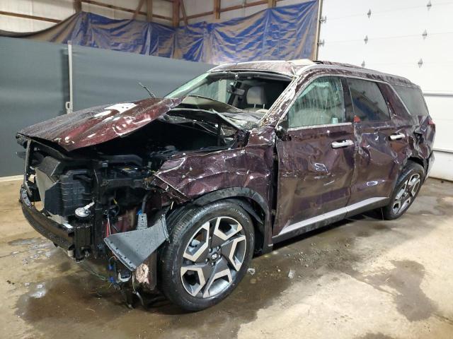 Hyundai Palisade (2024)