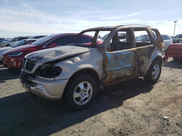 Mercedes-benz M-class (2002)