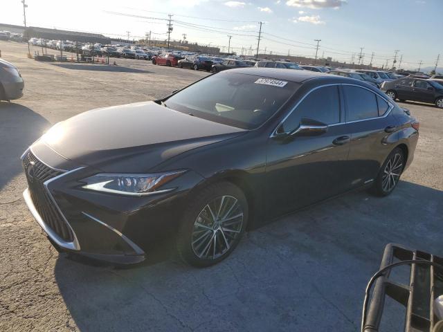 Lexus Es300 (2022)