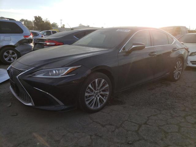 Lexus Es300 (2020)