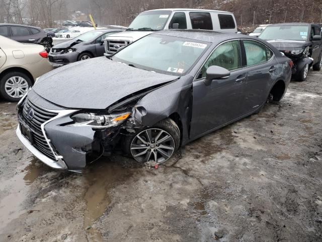 Lexus Es300 (2017)