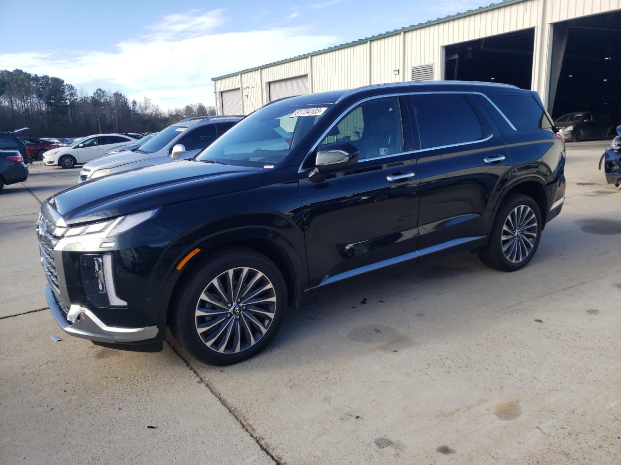 Hyundai Palisade (2024)