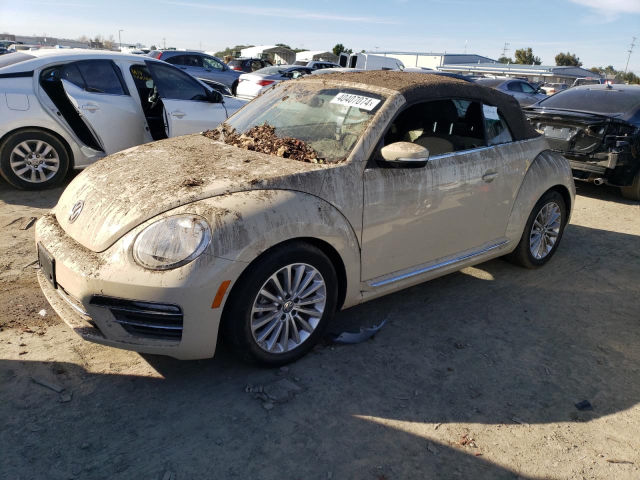 Volkswagen Beetle (2019)
