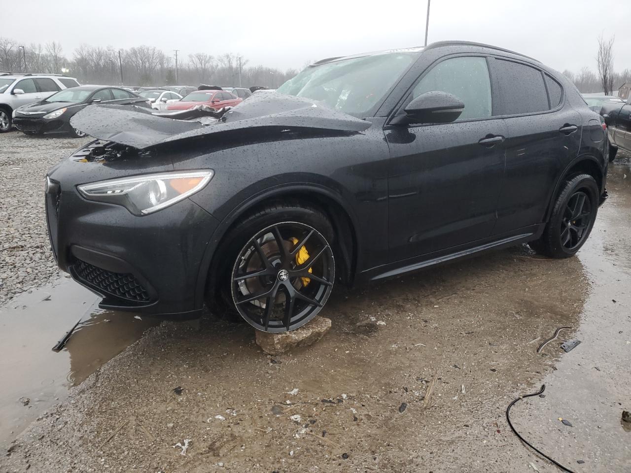 Alfa-romeo Stelvio (2021)