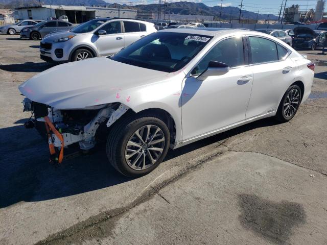 Lexus Es300 (2022)